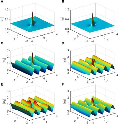 Peregrine Solitons on a Periodic Background in the Vector Cubic-Quintic Nonlinear Schrödinger Equation